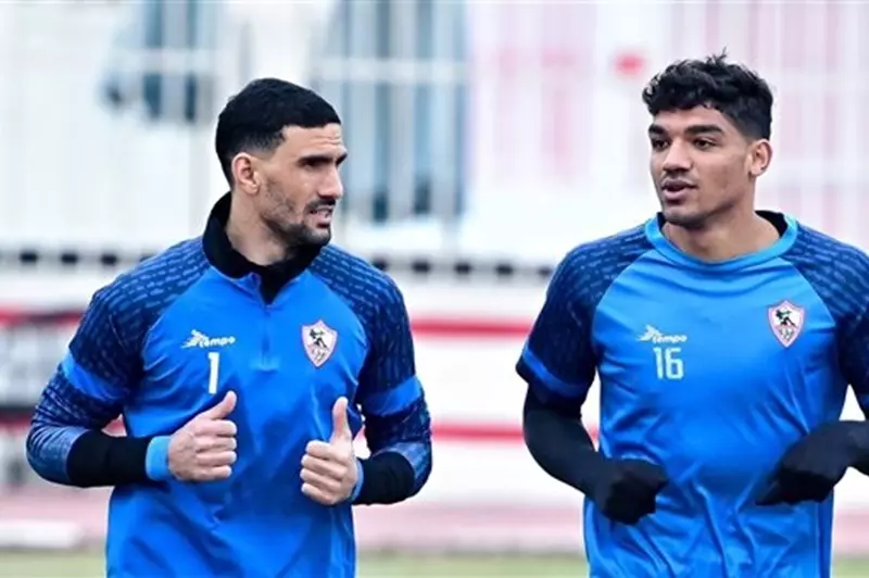 محمد عواد محمد صبحي
